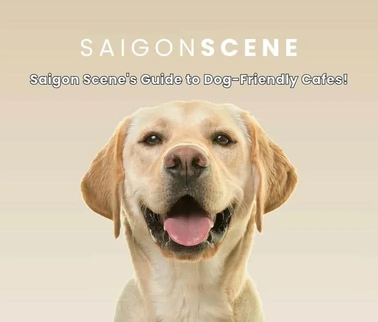 Saigon Scene's Guide to Dog-Friendly Cafes